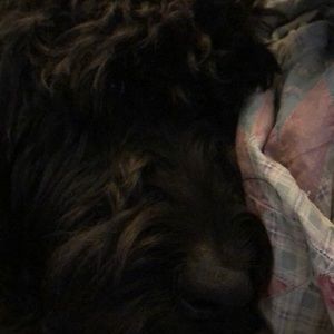 Meet your Posher, Mitchell